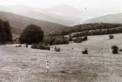 Szlovákia, a Sajó-völgye és a Radzim-hegy keletről nézve., 1939, Schermann Ákos, Schermann Szilárd, tájkép, Első Szlovák Köztársaság, Fortepan #95641