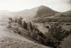 Szlovákia, Somhegy Lucska felől nézve., 1940, Schermann Ákos, Schermann Szilárd, hegy, hegyoldal, Fortepan #95653