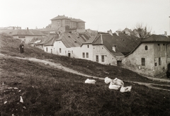 Magyarország, Tabán, Budapest I., Hadnagy utca, a kép jobb szélén az Eper utca sarok. Balra fent a Czakó utcai Elemi iskola (később sportpálya van a helyén)., 1927, Schermann Ákos, Sztehlo Borbála, liba, Budapest, pásztorlány, Fortepan #95682