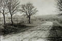 Hungary, Nagybörzsöny, a faluba vezető bekötőút., 1931, Schermann Ákos, Schermann Szilárd, picture, dirt road, Fortepan #95715