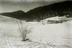 Magyarország, Bükk hegység, Nagyvisnyó, a csurgói erdészházak., 1932, Schermann Ákos, Schermann Szilárd, tél, Fortepan #95717