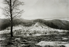 Magyarország, Bükk hegység, kilátás a Bálvány hegyről ÉNy-i irányba., 1932, Schermann Ákos, Schermann Szilárd, Fortepan #95719