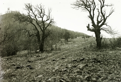 Magyarország, Mátra, Muzsla-tető., 1935, Schermann Ákos, Schermann Szilárd, Fortepan #95732