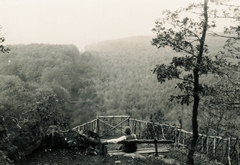 1924, Schermann Ákos, tranquillity, landscape, bench, Fortepan #95766