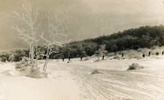 1923, Schermann Ákos, winter, landscape, Fortepan #95771