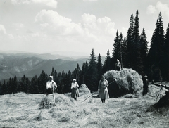 Szlovákia,Alacsony-Tátra, Király-hegy, szénagyűjtés., 1933, Schermann Ákos, Sztehlo János, Csehszlovákia, gereblye, Fortepan #95855