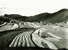 Szlovákia, Vernár, a felvétel a település határában készült., 1936, Schermann Ákos, Sztehlo János, Fortepan #95963