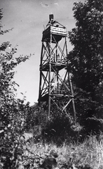 1931, Schermann Ákos, lookout, Fortepan #96031