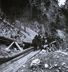 Ausztria, Breitenstein, turistaút a Semmeringbahn mentén (Semmeringbahn Wanderweg)., 1905, Schermann Ákos, híd, geológus, Fortepan #96099