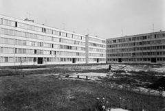 Hungary, Eger, Csebokszári lakótelep., 1978, Kádas Tibor, playground, concrete block of flats, monkey bar, Fortepan #9610