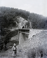 Románia,Erdély, viadukt és alagút a Szászsebes – Nagyszeben vasútvonalon., 1904, Magyar Földrajzi Múzeum / Erdélyi Mór cége, vasúti híd, Fortepan #96252