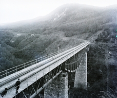 Romania,Transylvania, viadukt a Cigány-völgy felett a Szászsebes – Nagyszeben vasútvonalon., 1908, Magyar Földrajzi Múzeum / Erdélyi Mór cége, railway bridge, Fortepan #96270