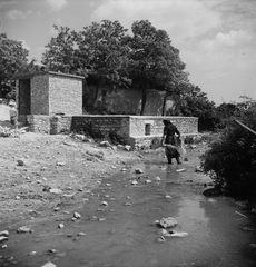 Magyarország, Szentantalfa, Cserkúti-patak, mosóház., 1955, Kotnyek Antal, Ráth Károly, képarány: négyzetes, Fortepan #96355