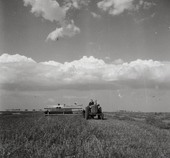 1958, Kotnyek Antal, aratás, traktor, Fortepan #96424