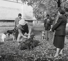 Magyarország, Szabadszentkirály, Petőfi Sándor utca, a felvétel a kutyák veszettség elleni beoltása alkalmával készült, 1954, Kotnyek Antal, Ráth Károly, kutya, állatorvos, póráz, oltás, gazda, német juhászkutya, képarány: négyzetes, Fortepan #96467