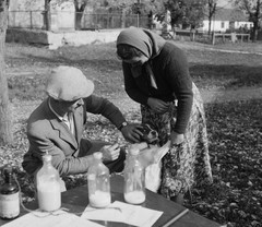 Magyarország, Szabadszentkirály, Petőfi Sándor utca, kutyák veszettség elleni beoltása a Községi Tanács (később Községháza) előtt, háttérben a Szent István király templom., 1954, Kotnyek Antal, Ráth Károly, kutya, életkép, állatorvos, oltás, gazda, képarány: négyzetes, Fortepan #96470