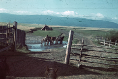 1940, Fortepan, színes, szekér, fogat, tájkép, Fortepan #9658