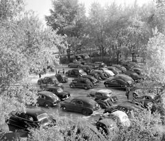 Magyarország, Margitsziget, Budapest, 1954, UVATERV, parkoló, GAZ M20 Pobjeda, Fiat 500 Topolino, Skoda 1101 VO/P Colonial, Tatra 600 Tatraplan, Tatra 87, GAZ 12 ZIM, Adler Junior, Fortepan #96631