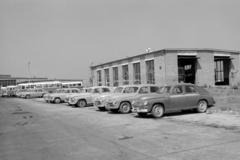 Magyarország, Veszprém, Pápai út, 15-ös AKÖV (később 15-ös Volán) telephelye., 1964, UVATERV, taxi, Moszkvics-márka, Ikarus 66, Ikarus 620/630, Ikarus 60, GAZ M20 Pobjeda, Ikarus 557, FSO Warszawa, Fortepan #96654