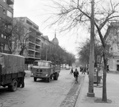 Magyarország, Szeged, Tisza Lajos (Lenin) körút a Mikszáth kálmán utcától a Dugonics tér felé nézve., 1969, UVATERV, kerékpár, Ikarus-márka, IFA-márka, Wartburg 311/312, IFA W50, rendszám, Ikarus 404, Fortepan #96684