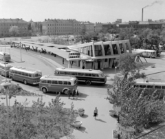 Magyarország, Szeged, Mars (Marx) tér, autóbusz-állomás., 1967, UVATERV, MÁVAUT-szervezet, Ikarus 31/311, Ikarus 66, Ikarus 620/630, vasbeton, helységnév tábla, autóbuszállomás, ÁMG  406, Fortepan #96750