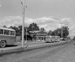 Magyarország, Szekszárd, Pollack Mihály utca, autóbusz-pályaudvar., 1965, UVATERV, Ikarus 620/630, Ikarus 30, Fortepan #96753