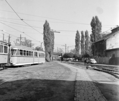 Magyarország, Szeged, Pulz utca, az SZKV (később SZKT) kocsiszíne., 1968, UVATERV, Tatra-márka, villamos, Tatra 600 Tatraplan, FVV CSM-2/CSM-4, kocsiszín, Fortepan #97387