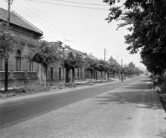 Magyarország, Vác, II. Rákóczi Ferenc út (2-es főút), a 12. számú háztól a Füredi Mihály utca felé nézve., 1970, UVATERV, Fortepan #97908