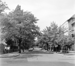 Magyarország, Budapest XI., Ulászló utca a Vincellér utcai kereszteződésből a Dinnye utca felé nézve., 1971, UVATERV, utcakép, automobil, Wartburg 311/312, Budapest, Fortepan #98148