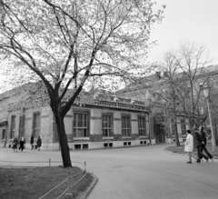 Magyarország, Budapest XI., a Műszaki Egyetem udvara, szemben az L épület., 1972, UVATERV, Budapest, Fortepan #98244