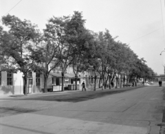 Magyarország, Budapest IV., Újpest, Megyeri út, Újpesti Dózsa sporttelep, balra a stadion, szemben a Mildenberger utcai bejárat., 1972, UVATERV, büfé, Budapest, Fortepan #98371