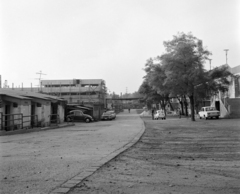 Magyarország, Budapest IV., Újpest, Megyeri út, Újpesti Dózsa sporttelep, jobbra a stadion, szemben a Megyeri úti bejárat., 1972, UVATERV, Budapest, Fortepan #98373