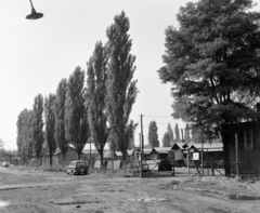 Magyarország, Budapest XI., Kelenföldi út, a BKV 11. sz. raktárának bejárata., 1974, UVATERV, Trabant-márka, pocsolya, földút, jegenyefasor, barakk, rendszám, jegenyefa, Budapest, Fortepan #98672