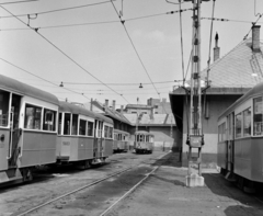 Hungary, Budapest IV., Pozsonyi utca, Angyalföld kocsiszín., 1975, UVATERV, tram, BKV-organisation, destination sign, Budapest, carbarn, public transport line number, Fortepan #98909