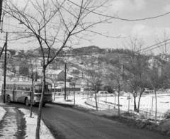 Magyarország, Budapest XII.,Budapest XI., Törökbálinti út a Cseresznye utca irányából a SASAD Mgtsz dísznövénytermesztő telepének üvegházai felé nézve., 1976, UVATERV, Ikarus 556, Budapest, Fortepan #99100