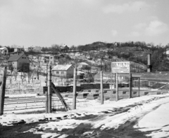 Magyarország, Budapest XII., Törökbálinti út, a SASAD Mgtsz dísznövénytermesztő telepének üvegházai., 1976, UVATERV, Budapest, Fortepan #99101