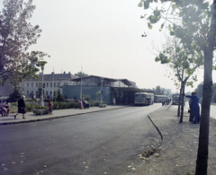 Magyarország, Székesfehérvár, Piac tér, autóbusz-pályaudvar., 1973, UVATERV, színes, csuklós busz, MÁVAUT-szervezet, Ikarus 66, Ikarus 620/630, buszpályaudvar, Volán-szervezet, helységnév tábla, Fővárosi Autóbusz üzem, Fortepan #99268