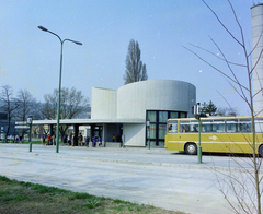 Magyarország, Balatonalmádi, Petőfi Sándor utca, autóbusz-állomás., 1977, UVATERV, színes, autóbusz, Ikarus-márka, Volán-szervezet, autóbuszállomás, Ikarus 266, Fortepan #99414